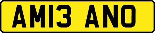AM13ANO