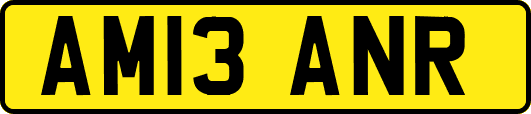 AM13ANR
