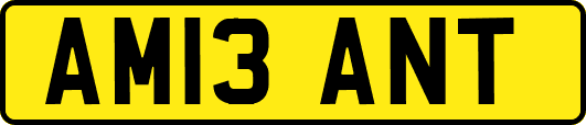 AM13ANT
