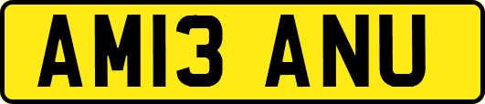 AM13ANU