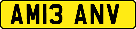 AM13ANV