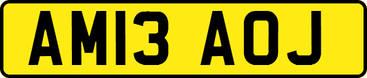 AM13AOJ