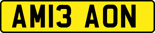 AM13AON