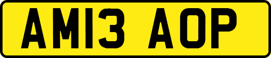 AM13AOP