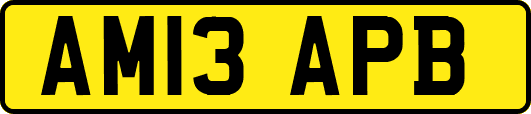 AM13APB