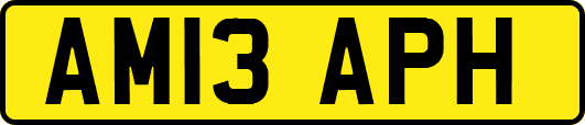 AM13APH
