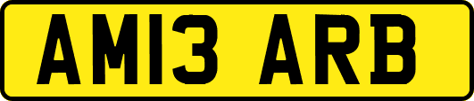 AM13ARB