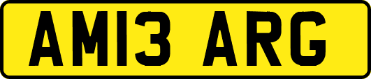 AM13ARG