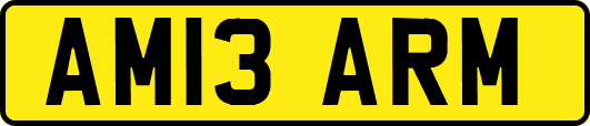AM13ARM