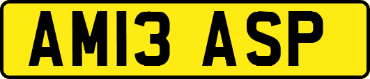 AM13ASP