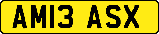 AM13ASX