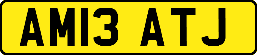 AM13ATJ
