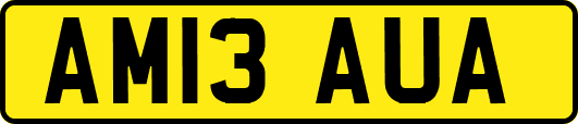 AM13AUA