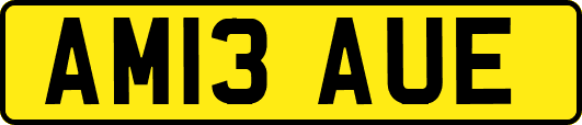 AM13AUE
