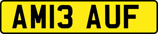 AM13AUF