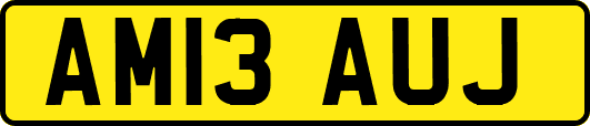 AM13AUJ