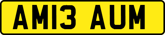 AM13AUM