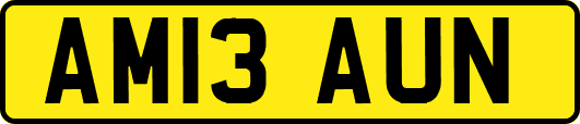 AM13AUN
