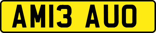 AM13AUO