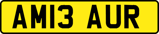 AM13AUR