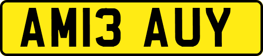 AM13AUY