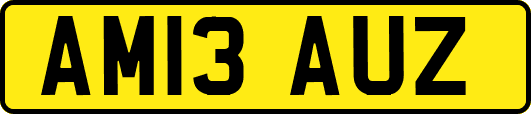 AM13AUZ