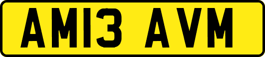 AM13AVM