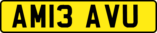 AM13AVU