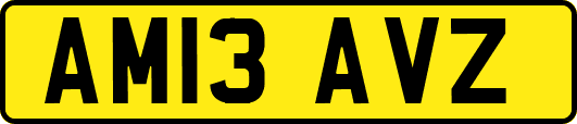 AM13AVZ