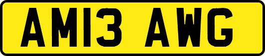 AM13AWG