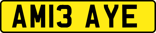 AM13AYE