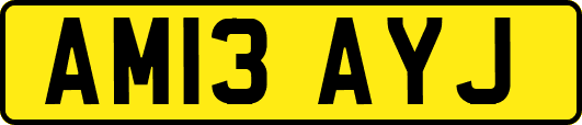 AM13AYJ