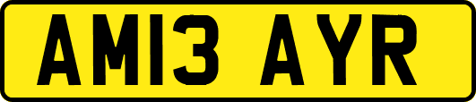 AM13AYR