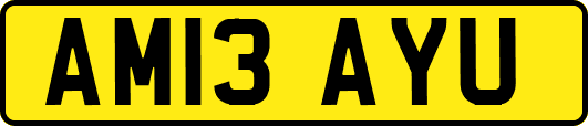AM13AYU