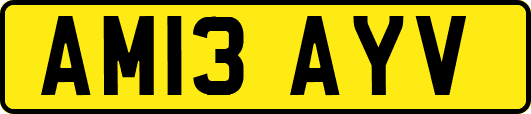 AM13AYV