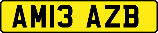 AM13AZB