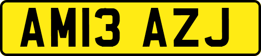 AM13AZJ