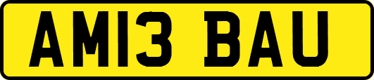 AM13BAU