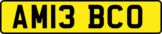 AM13BCO