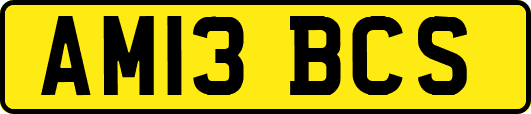 AM13BCS