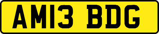 AM13BDG