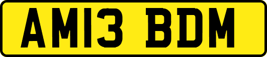 AM13BDM