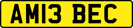 AM13BEC