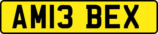 AM13BEX