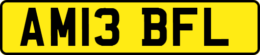 AM13BFL