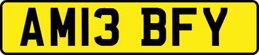 AM13BFY
