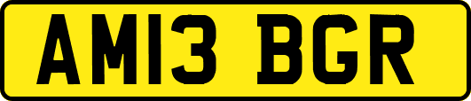 AM13BGR