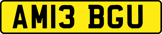 AM13BGU