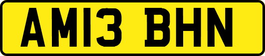 AM13BHN