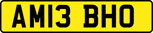 AM13BHO